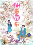 Kimi ni Todoke