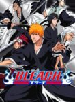 Bleach