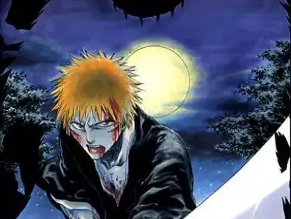 Bleach: Memories in the Rain