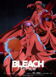 Bleach: Sennen Kessen-hen – Ketsubetsu-tan