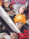 Bleach: The Sealed Sword Frenzy