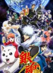 Gintama°