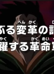One Piece: Araburu Henkaku no Log: Anyaku Suru Kakumeigun!