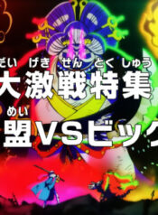 One Piece: Dai Gekisen Tokushuu! Hangeki Doumei vs. Big Mom