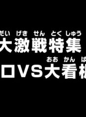 One Piece: Dai Gekisen Tokushuu! Zoro vs. Ookanban!