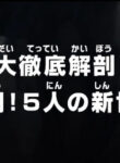 One Piece: Dai Tettei Kaibou! Gekitou! 5-nin no Shin Sedai