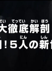One Piece: Dai Tettei Kaibou! Gekitou! 5-nin no Shin Sedai