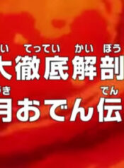 One Piece: Dai Tettei Kaibou! Kouzuki Oden Densetsu!