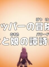 One Piece: Dr. Chopper no Bouken Karte – Chichi to Musume no Ballad