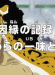 One Piece: Innen no Log! Mugiwara no Ichimi to Cipher Pol