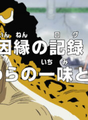 One Piece: Innen no Log! Mugiwara no Ichimi to Cipher Pol