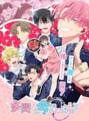 Tamon-kun Ima Docchi