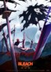 Bleach: Sennen Kessen-hen – Kashin-tan