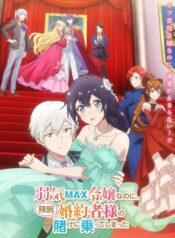 Yowaki Max Reijou nanoni, Ratsuwan Konyakusha-sama no Kake ni Notte Shimatta